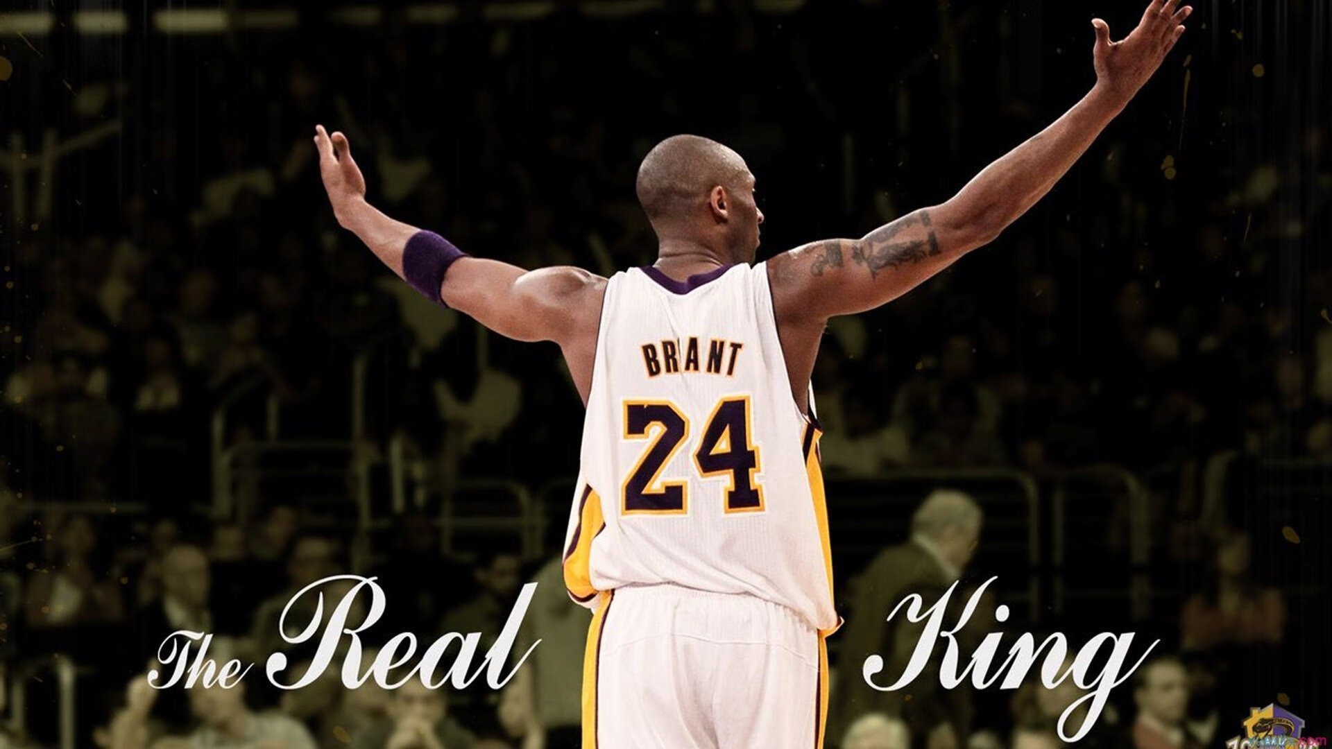 2026世界杯之夜，哈弗茨，那个在沉默中引爆全场的非典型英雄